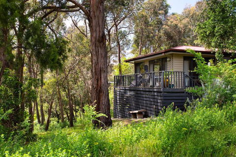 Lardi Lane - Yarra Valley Accommodation 1