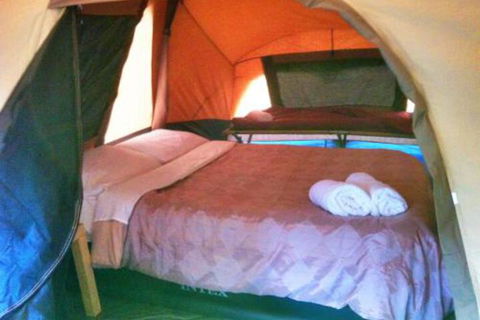 WA Wilderness Glamping - Yarra Valley Accommodation 3