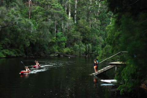 WA Wilderness Glamping - Yarra Valley Accommodation 4