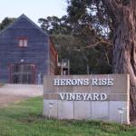 Herons Rise Vineyard Accommodation - Yarra Valley Accommodation 0