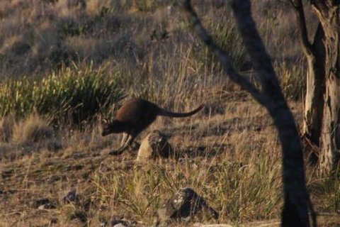 The Great House Bnb - Yarra Valley Accommodation 3