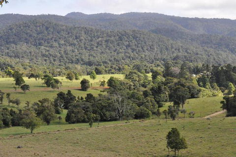 The Jungle Stays - Yarra Valley Accommodation 5