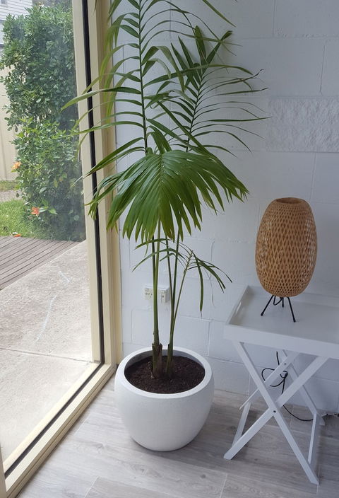 Beach Holiday Apartments Motel - Yarra Valley Accommodation 5