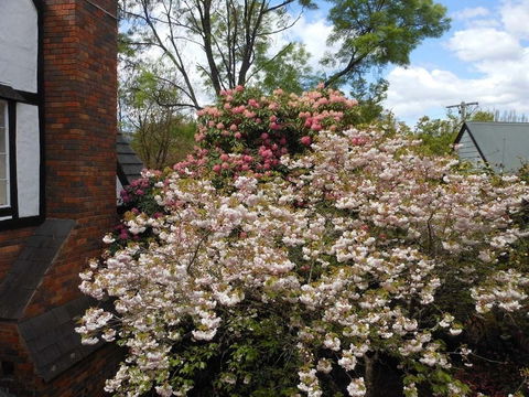 Merrimeet Cottages - Yarra Valley Accommodation 0