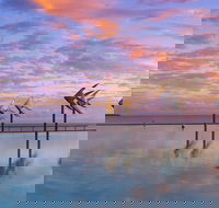 Global Backpackers Cairns - Yarra Valley Accommodation