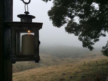Belle La Vie B & B - Yarra Valley Accommodation 6