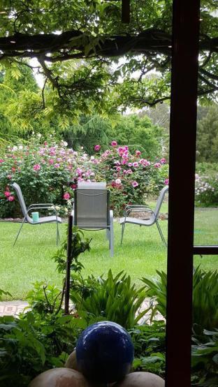 Wisteria Lodge - Yarra Valley Accommodation 5