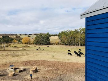 In2thewild Walden - Yarra Valley Accommodation 1