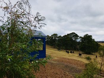 In2thewild Walden - Yarra Valley Accommodation 4