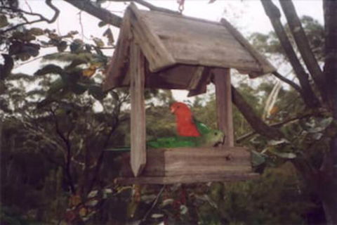 Arcadia Cottage - Yarra Valley Accommodation 2