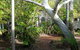 West Kimberley Lodge & Caravan Park  - thumb 1