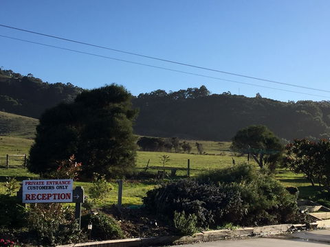 Skenes Creek Lodge Motel And Restaurant - Yarra Valley Accommodation 1