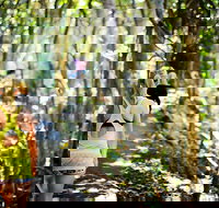 Cashelmara Beachfront Apartments - Yarra Valley Accommodation