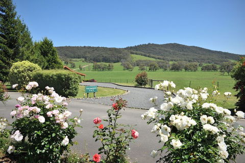 Langbrook Estate Cottages - Yarra Valley Accommodation 1