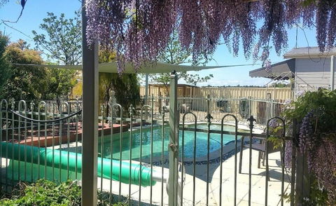 Must Love Dogs B&b - Yarra Valley Accommodation 0
