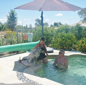 Must Love Dogs B&b - Yarra Valley Accommodation 1