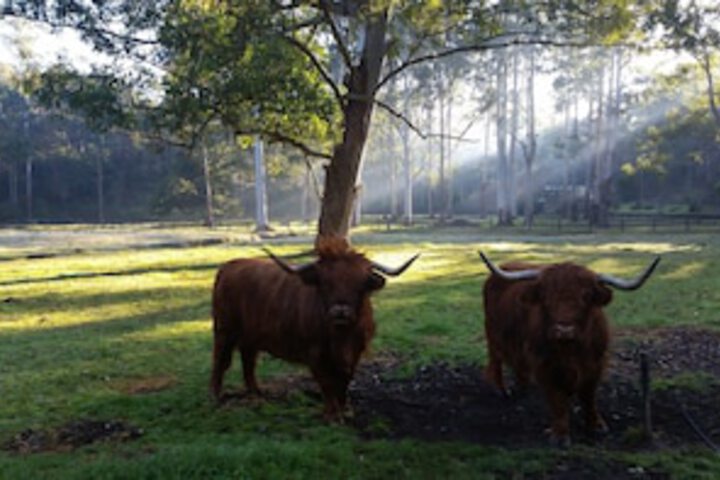 Glenhaven NSW Yarra Valley Accommodation