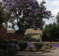 Belvoir Village Motel  Apartments Wodonga - Yarra Valley Accommodation