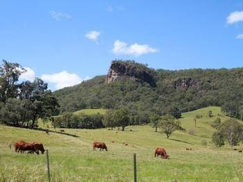 Rosevale House - Yarra Valley Accommodation 0