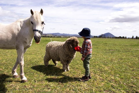 Taras Richmond Farmstay - Yarra Valley Accommodation 0