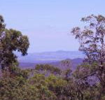 Ravensbourne Escape Cedar Lodge - Yarra Valley Accommodation