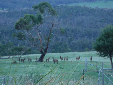 Hawksview At Mafeking - Yarra Valley Accommodation 3