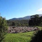 Hawksview At Mafeking - Yarra Valley Accommodation 0