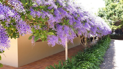 Bendles Cottages And Country Villas - Yarra Valley Accommodation 4