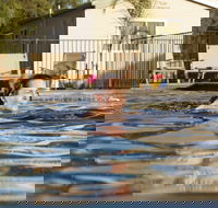 Riverside Cabin Park - Yarra Valley Accommodation