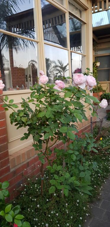 Oxford Rise Apartment - Yarra Valley Accommodation 5