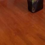 Oxford Rise Apartment - Yarra Valley Accommodation 0