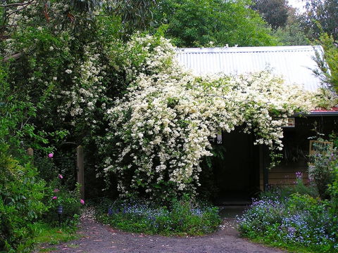 Lemonade Creek Cottages - Yarra Valley Accommodation 4
