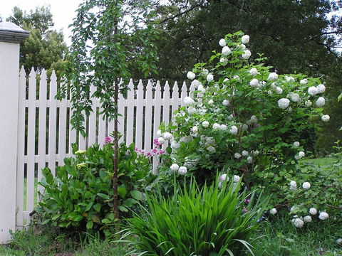 Lemonade Creek Cottages - Yarra Valley Accommodation 2