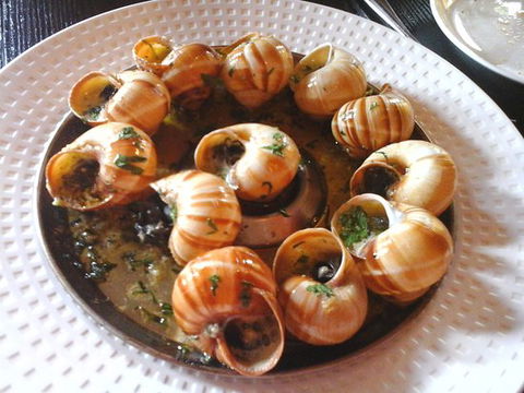 La Grillade - Yarra Valley Accommodation 0