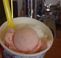 Bermagui Gelati Clinic - Yarra Valley Accommodation