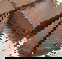 Yakiniku Gyuzo BBQ and Tapas - Yarra Valley Accommodation