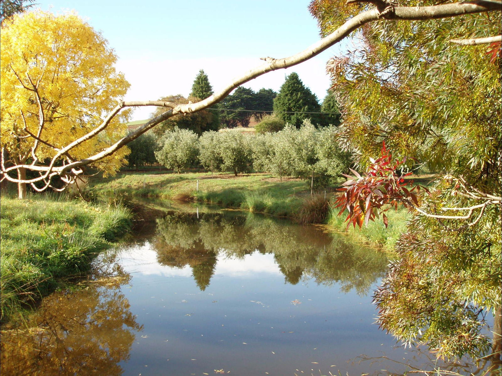 Castra TAS Yarra Valley Accommodation