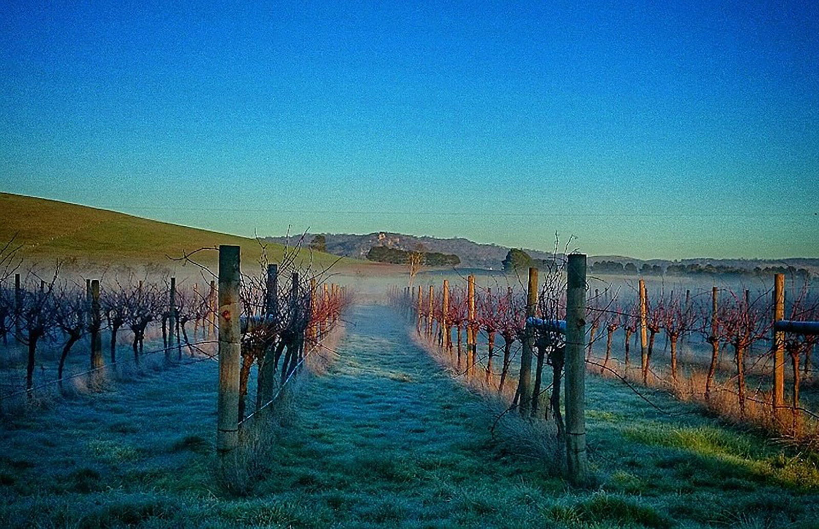 Coghills Creek VIC Yarra Valley Accommodation