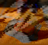 Hell of the North - Yarra Valley Accommodation