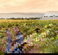 Boston Bay Wines - Yarra Valley Accommodation