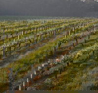 Cape Grace Wines - Yarra Valley Accommodation