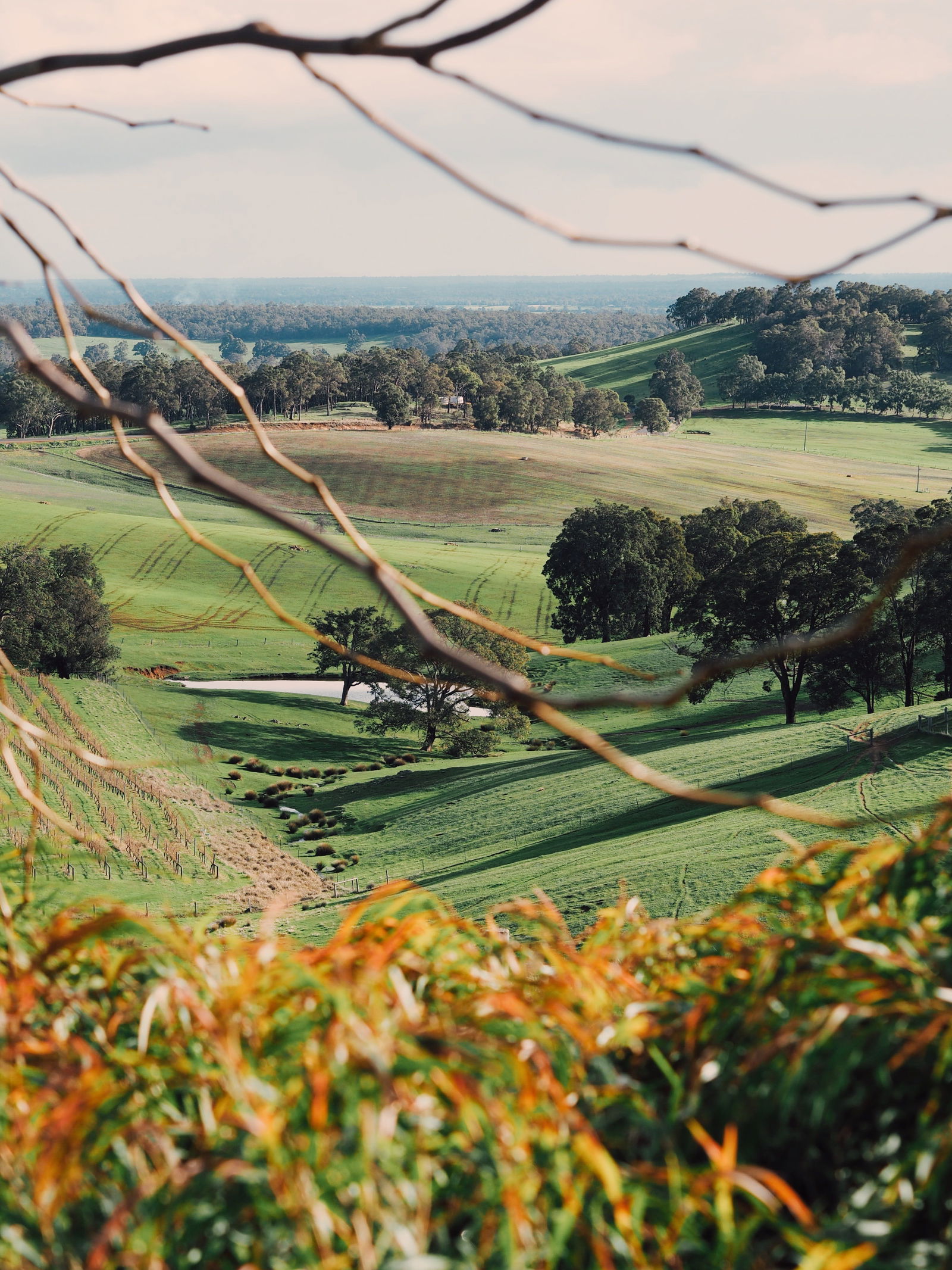 Crooked Brook WA Yarra Valley Accommodation