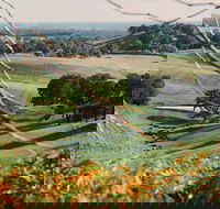Green Door Winery Cellar Door - Yarra Valley Accommodation