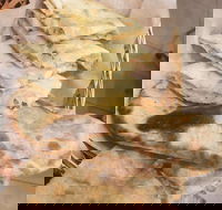 Haldi - Yarra Valley Accommodation