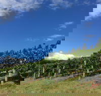 Freycinet Vineyard - Yarra Valley Accommodation