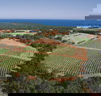 Wise Wine - Yarra Valley Accommodation