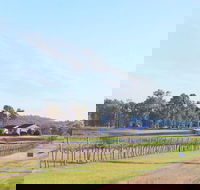 Blacklea Vineyard and Olive Grove - Yarra Valley Accommodation
