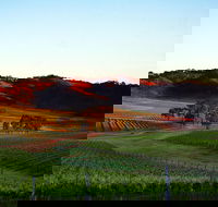 Dalwhinnie Wines - Yarra Valley Accommodation