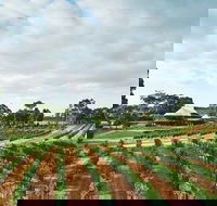 Vasse Felix Winery - Yarra Valley Accommodation