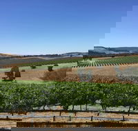 Peerick Vineyard and Winery - Yarra Valley Accommodation